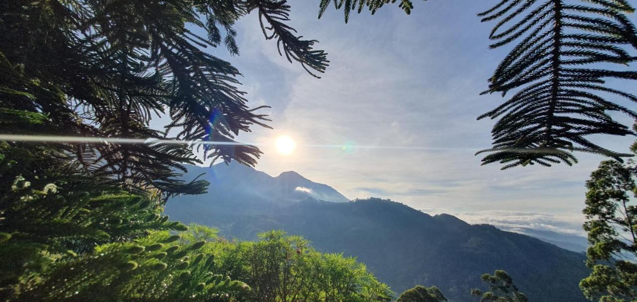 Mount Valley Resort - A Secluded Getaway Munnar Extérieur photo
